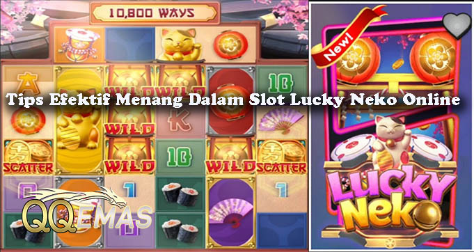 Tips Efektif Menang Dalam Slot Lucky Neko Online